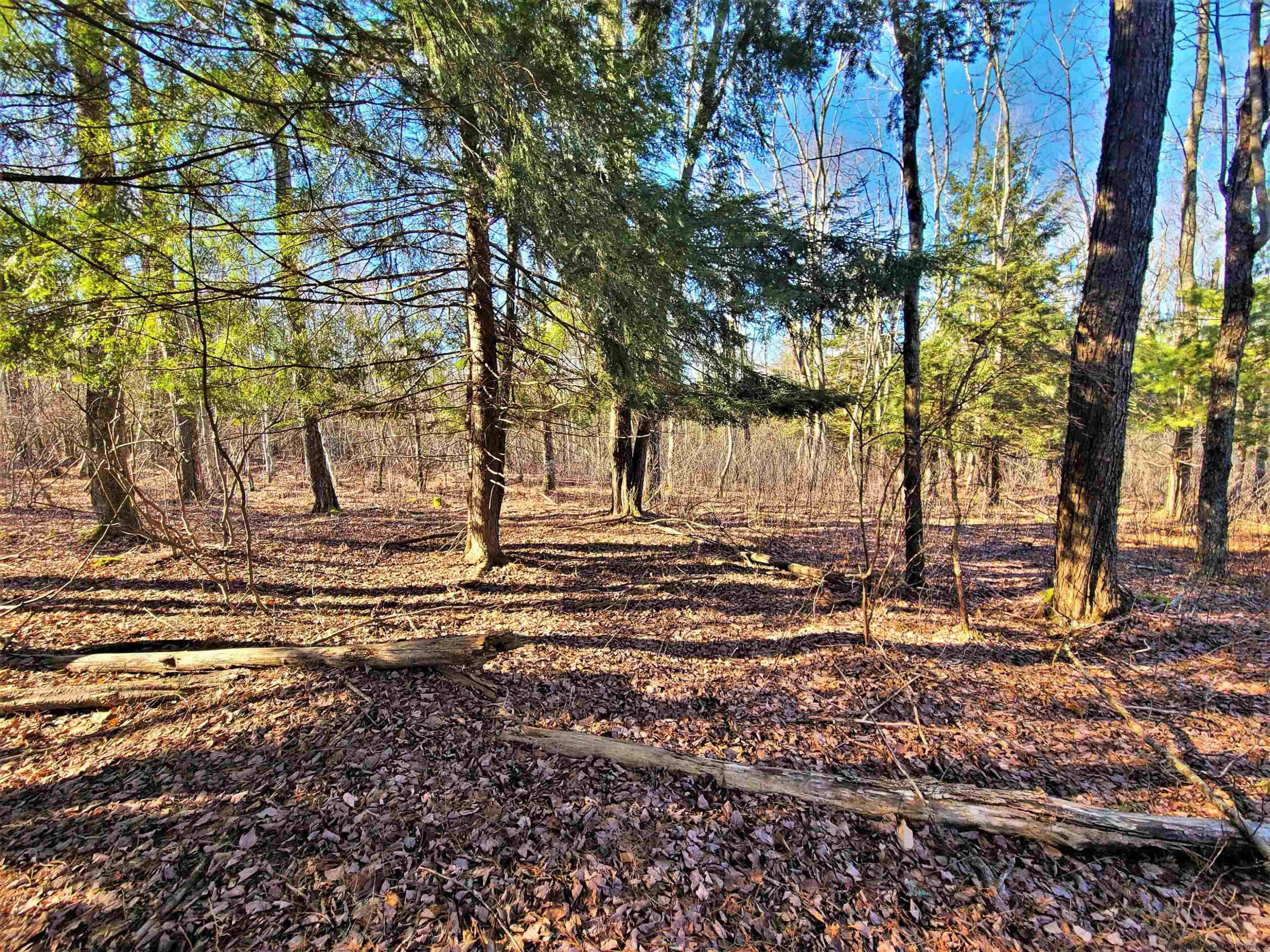 Tbd Tbd Fairweather Road Swan Lake, NY 12783 - Photo 5 of 21 a view of a yard with plants