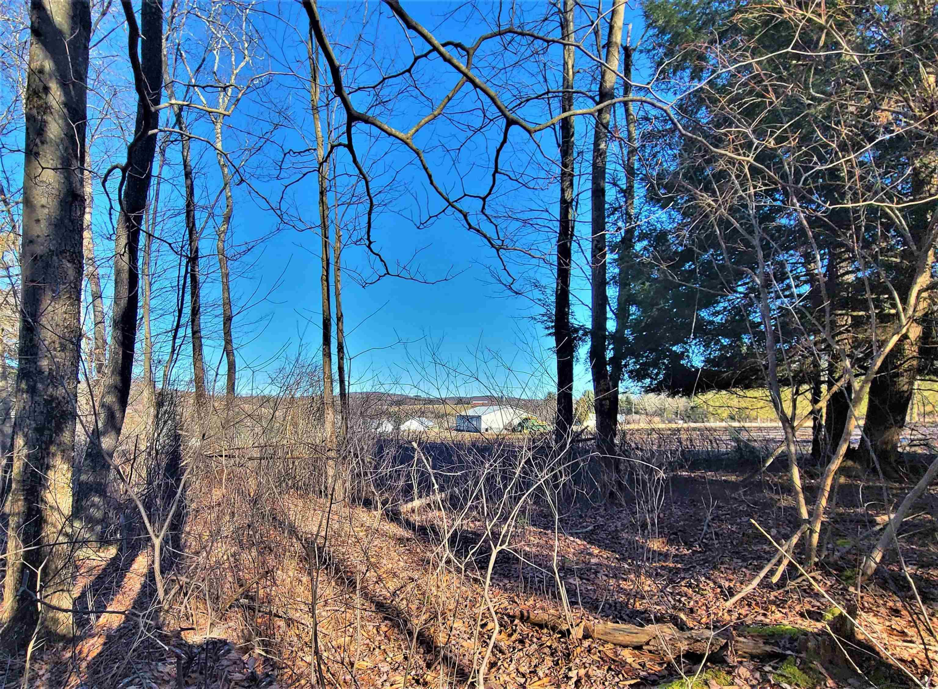 Tbd Tbd Fairweather Road Swan Lake, NY 12783 - Photo 6 of 21 a view of a backyard of the house
