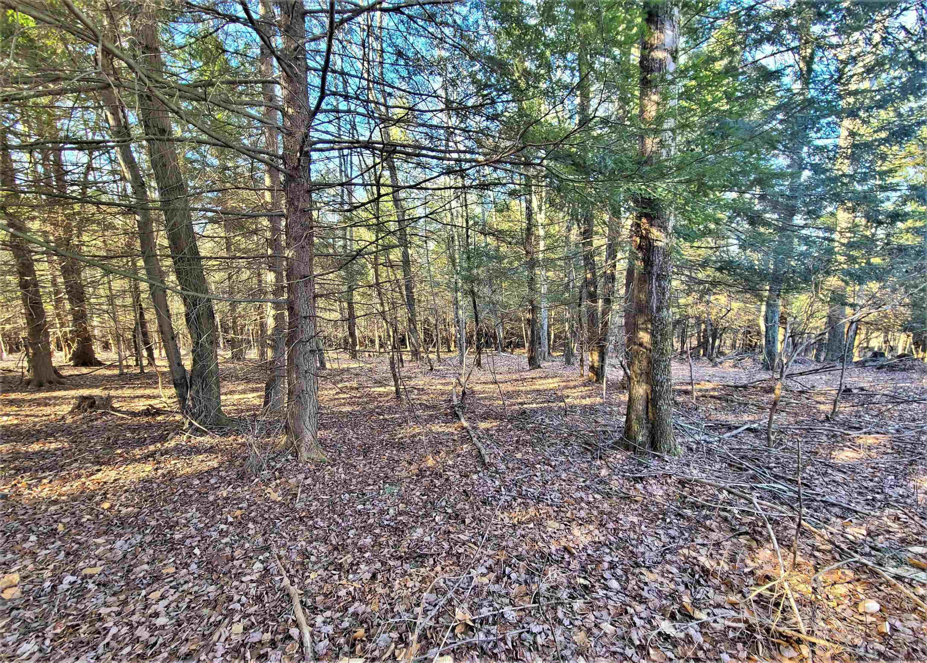 Tbd Tbd Fairweather Road Swan Lake, NY 12783 - Photo 9 of 21 a view of house with trees