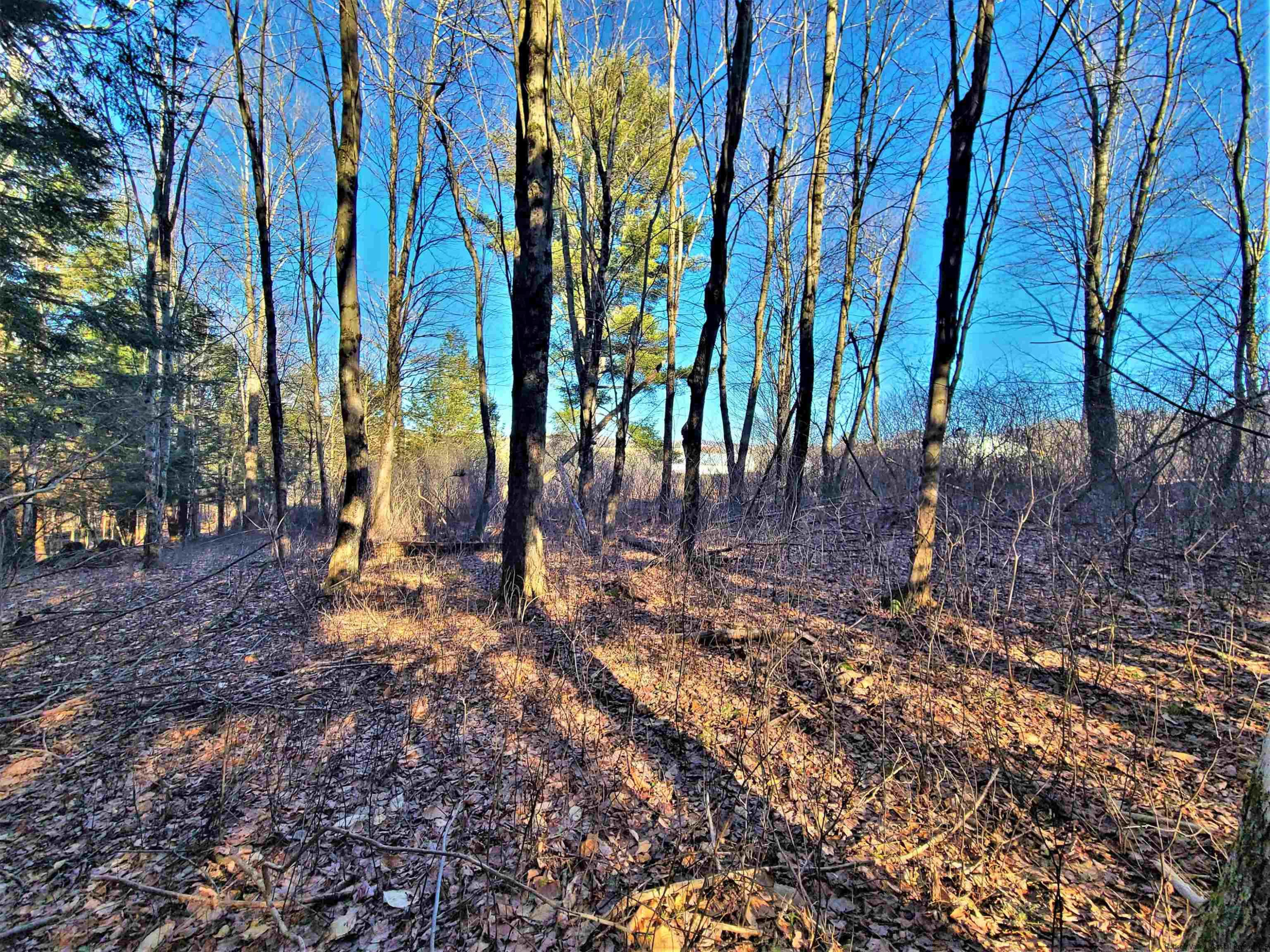 Tbd Tbd Fairweather Road Swan Lake, NY 12783 - Photo 10 of 21 a view of outdoor space with trees