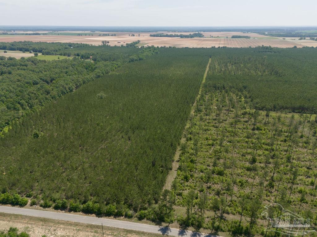 Lot 5 Bud Diamond Road Jay, FL 32565 - Photo 16 of 21