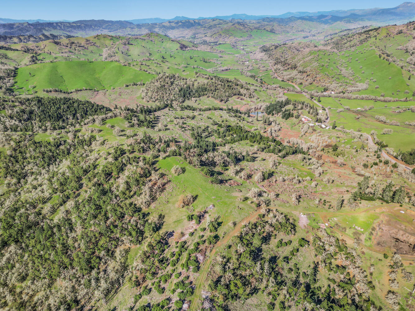 2268 Sunshine Road Roseburg, OR 97470 - Photo 21 of 34 DJI_0629