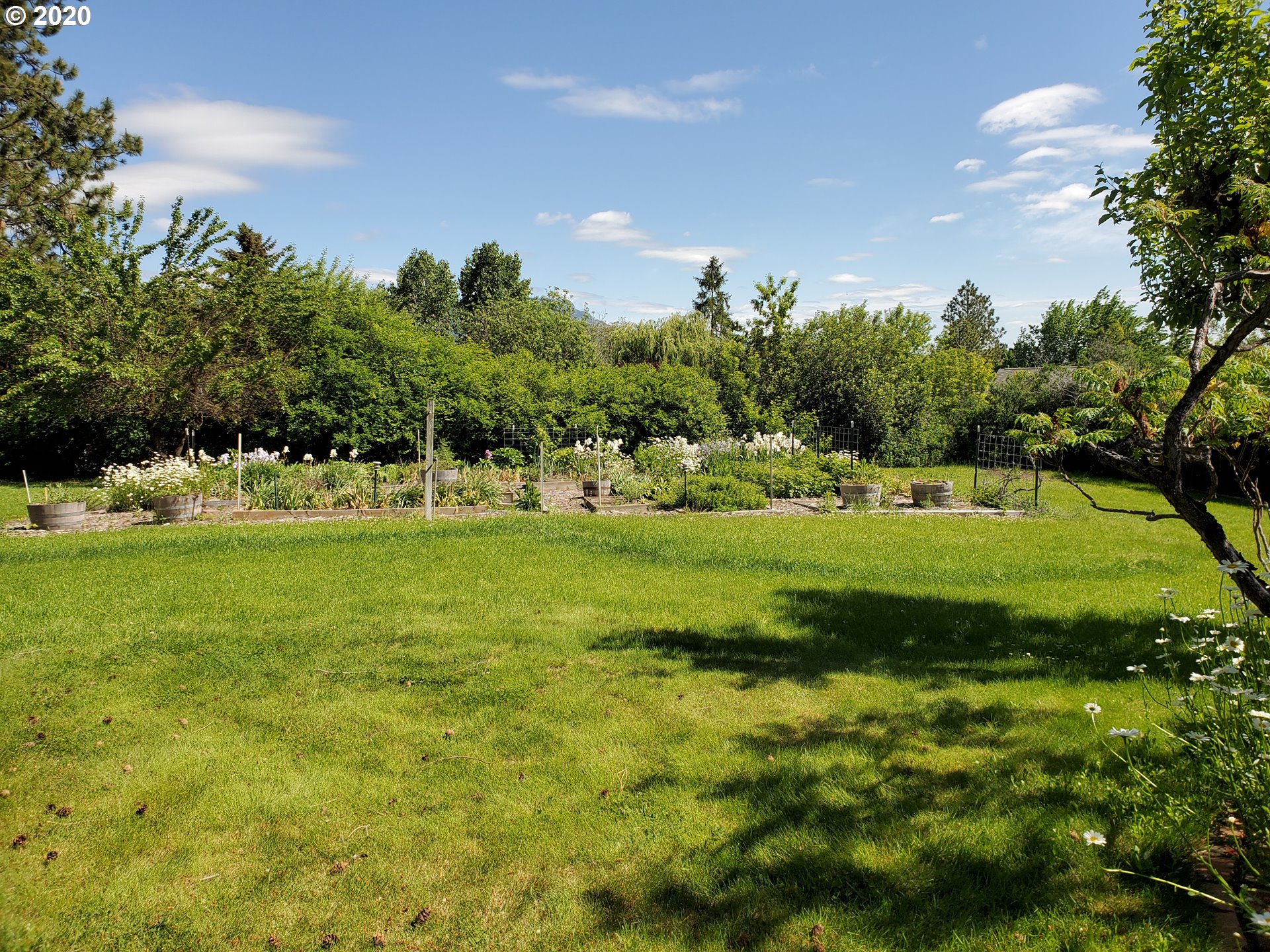 205 Spring Street La Grande, OR 97850 - Photo 22 of 23 Gallery Image 22