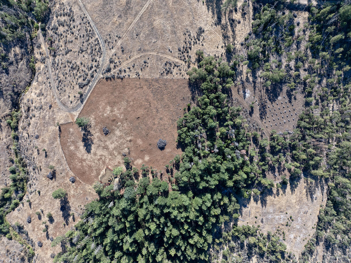 13388 Butte Falls Highway Eagle Point, OR 97524 - Photo 30 of 52 DJI_20250729165806_0423_D copy