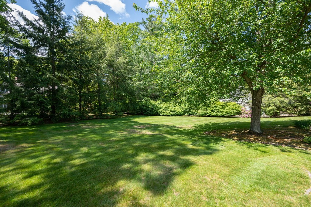 21 Whitcomb Avenue Hingham, MA 02043 - Photo 19 of 25