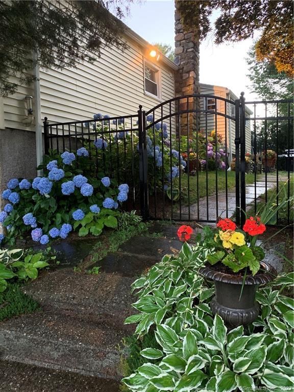 402 Boston Street Guilford, CT 06437 - Photo 5 of 40 Rear steps and walkway to entrance through gate to rear kitchen door and beautiful hydrangea