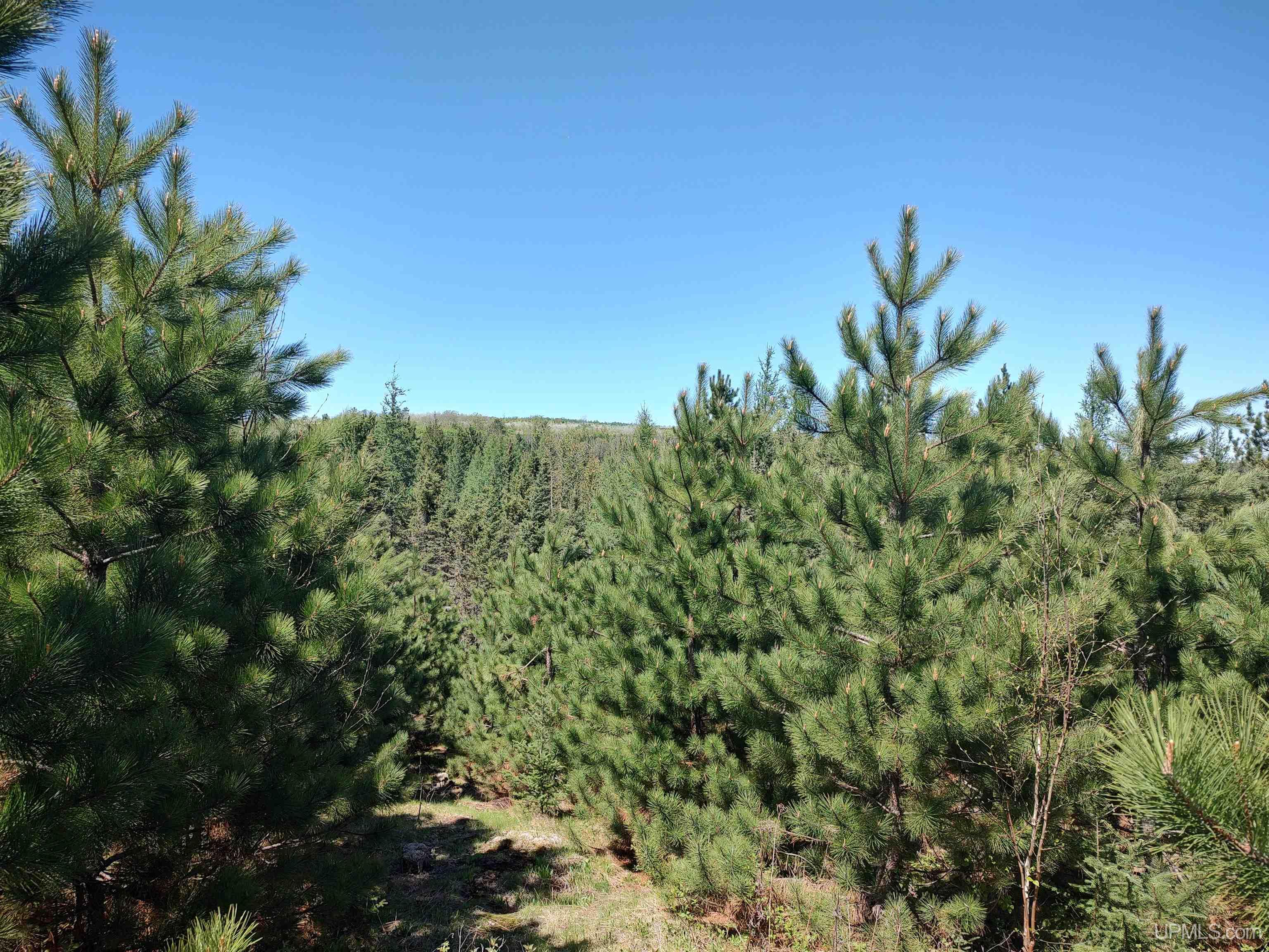 58-acres Co Rd Fn Road Champion, MI 49814 - Photo 15 of 27