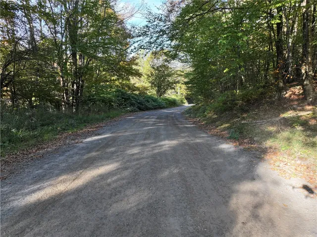 $89,999 | 4 Tr Fremont Center, Roscoe, NY 12776