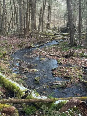 $79,500 | 4 Tr Fremont Center, Roscoe, NY 12776