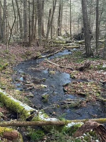 $79,500 | 4 Tr Fremont Center, Roscoe, NY 12776