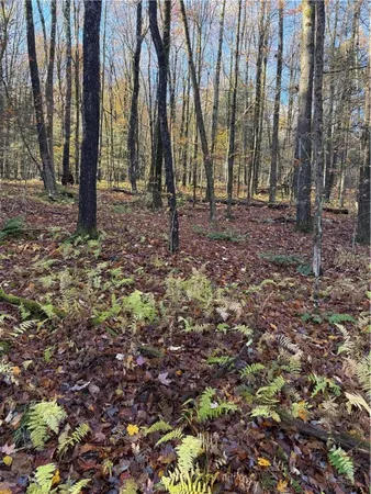 $79,500 | 4 Tr Fremont Center, Roscoe, NY 12776