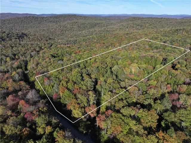 $89,999 | 4 Tr Fremont Center, Roscoe, NY 12776