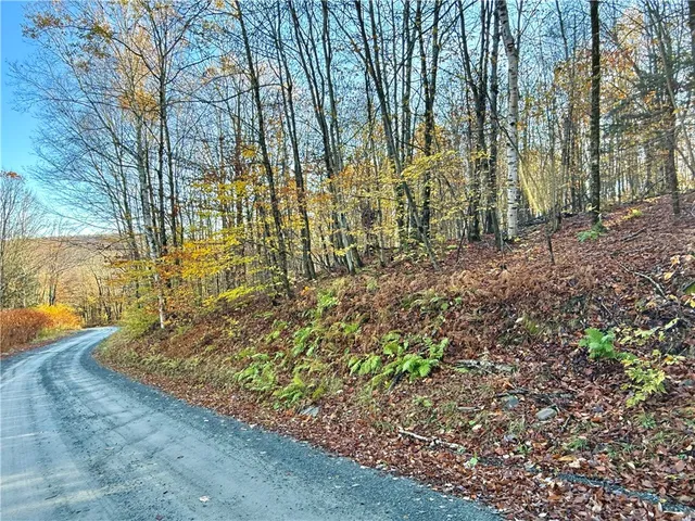 $89,999 | 4 Tr Fremont Center, Roscoe, NY 12776