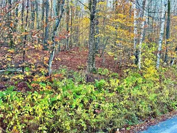 $79,500 | 4 Tr Fremont Center, Roscoe, NY 12776