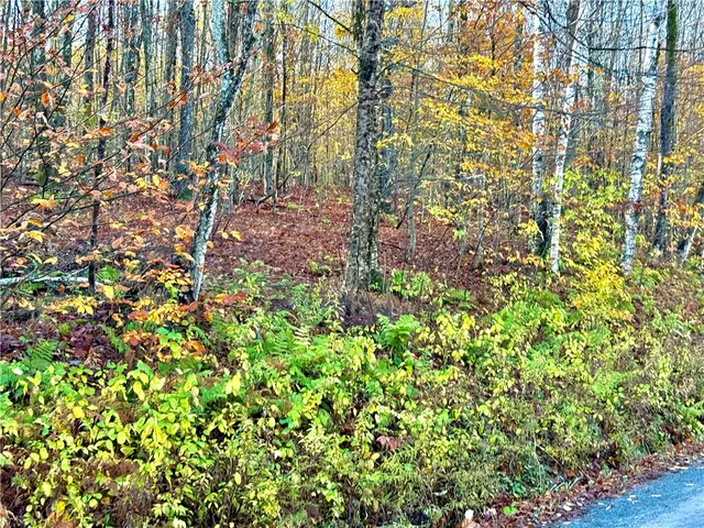 $89,999 | 4 Tr Fremont Center, Roscoe, NY 12776