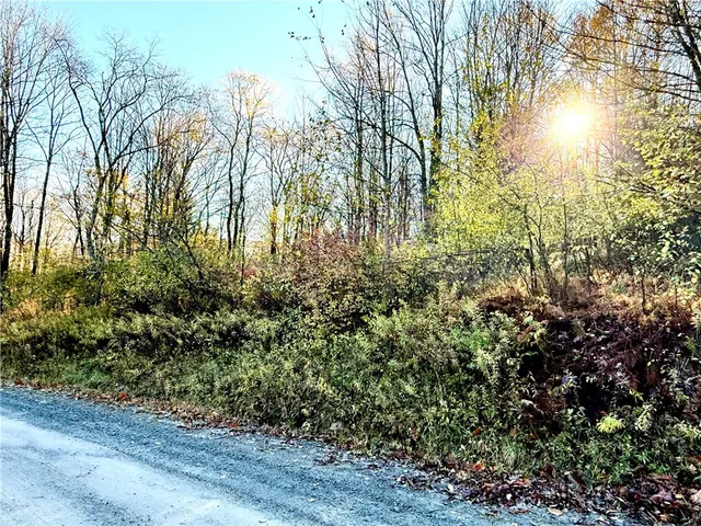 $89,999 | 4 Tr Fremont Center, Roscoe, NY 12776