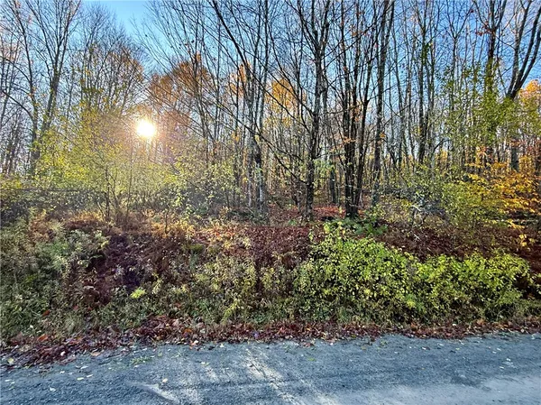 $79,500 | 4 Tr Fremont Center, Roscoe, NY 12776