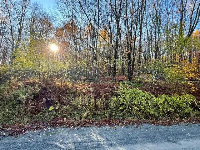 $89,999 | 4 Tr Fremont Center, Roscoe, NY 12776