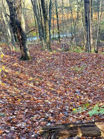 $79,500 | 4 Tr Fremont Center, Roscoe, NY 12776