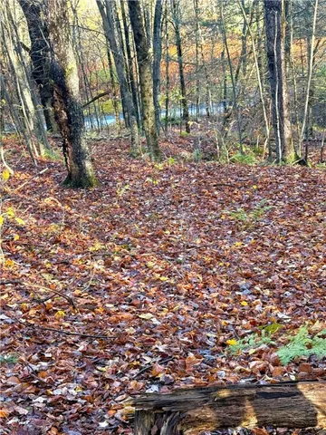 $89,999 | 4 Tr Fremont Center, Roscoe, NY 12776