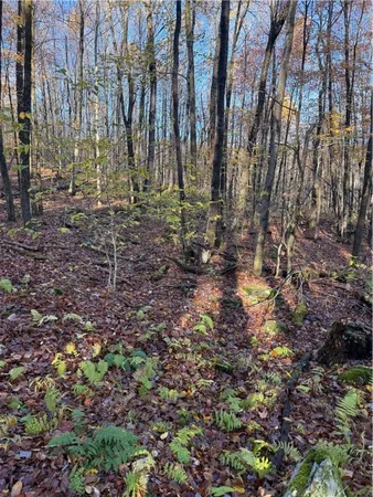 $79,500 | 4 Tr Fremont Center, Roscoe, NY 12776