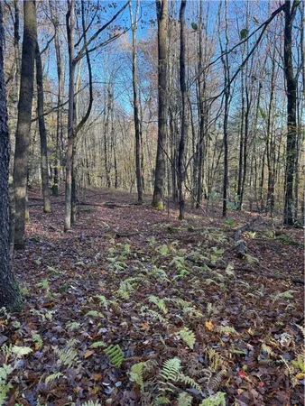 $79,500 | 4 Tr Fremont Center, Roscoe, NY 12776