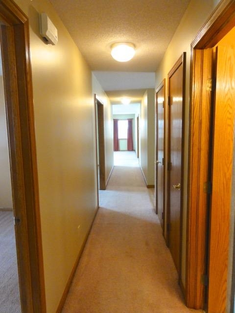 705 South Buckingham Road Yorktown, IN 47396 - Photo 20 of 30 Gallery Image 20