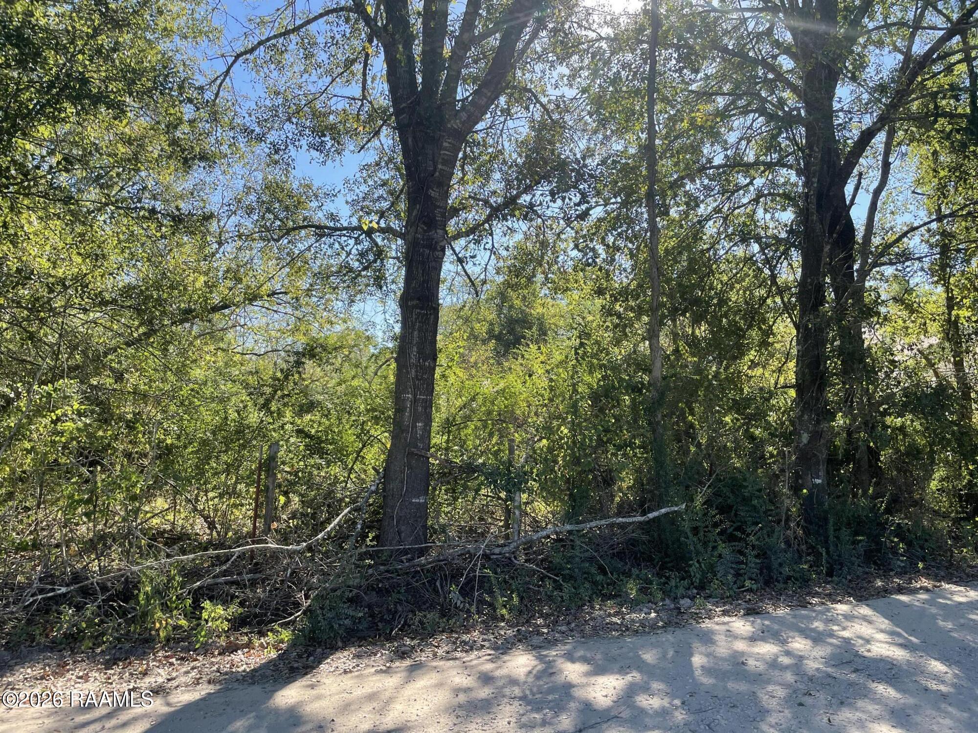 4822 Verot School Road Youngsville, LA 70592 - Photo 5 of 11