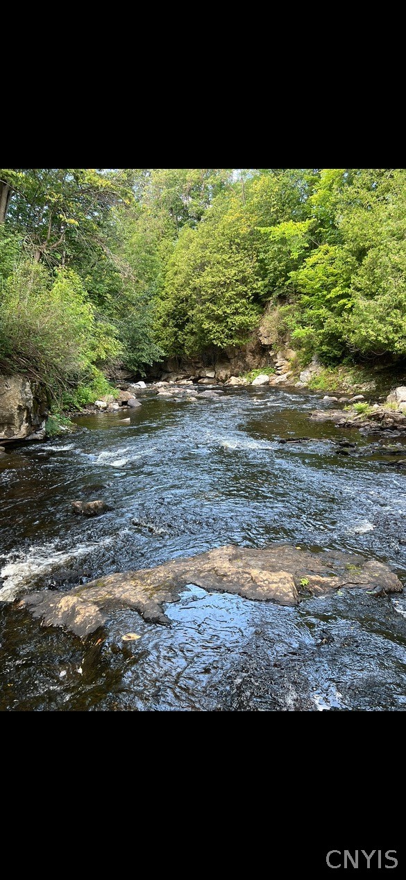 420 Island Branch Road Fowler, NY 13642 - Photo 40 of 47