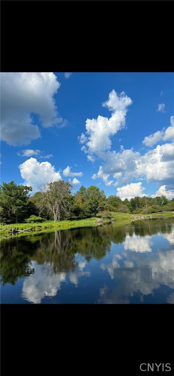 420 Island Branch Road Fowler, NY 13642 - Photo 41 of 47