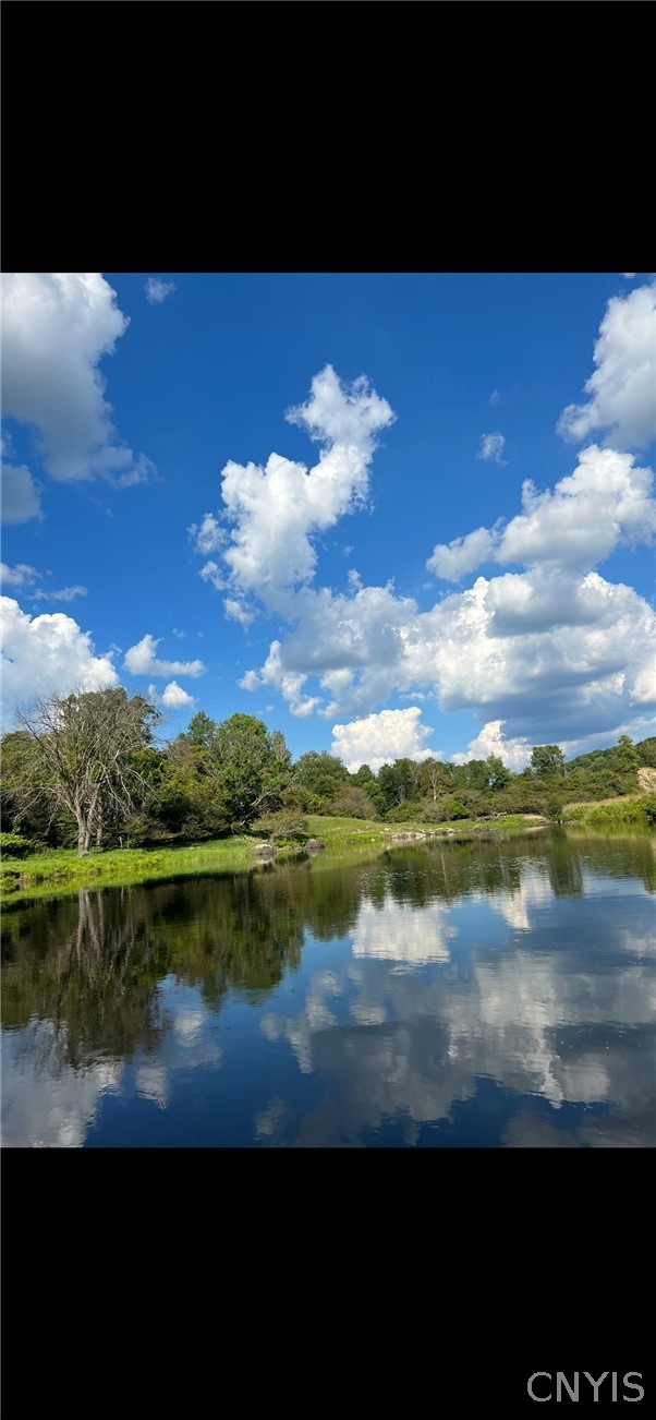 420 Island Branch Road Fowler, NY 13642 - Photo 42 of 47