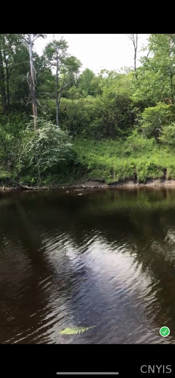 420 Island Branch Road Fowler, NY 13642 - Photo 46 of 47