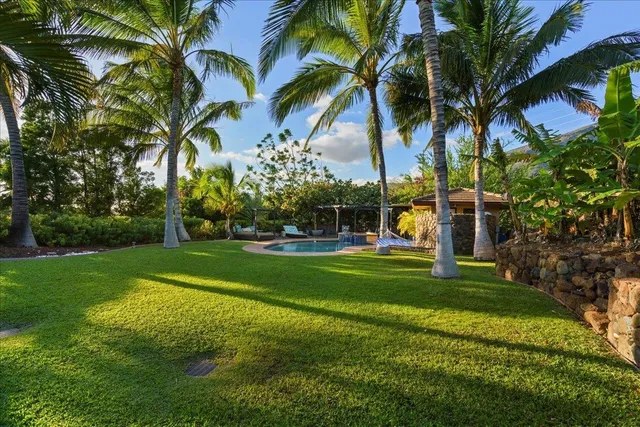 a view of a park with a palm tree