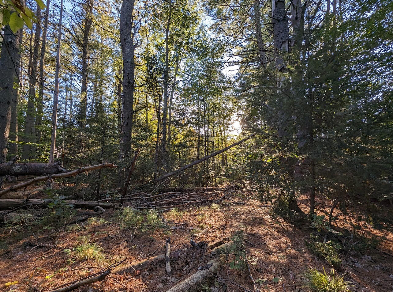 0 Brickyard Hill Road Durham, ME 04222 - Photo 3 of 5 LAND (LOT A)