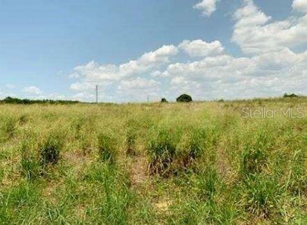 Davis Brothers Road Frostproof, FL 33843 - Photo 2 of 5