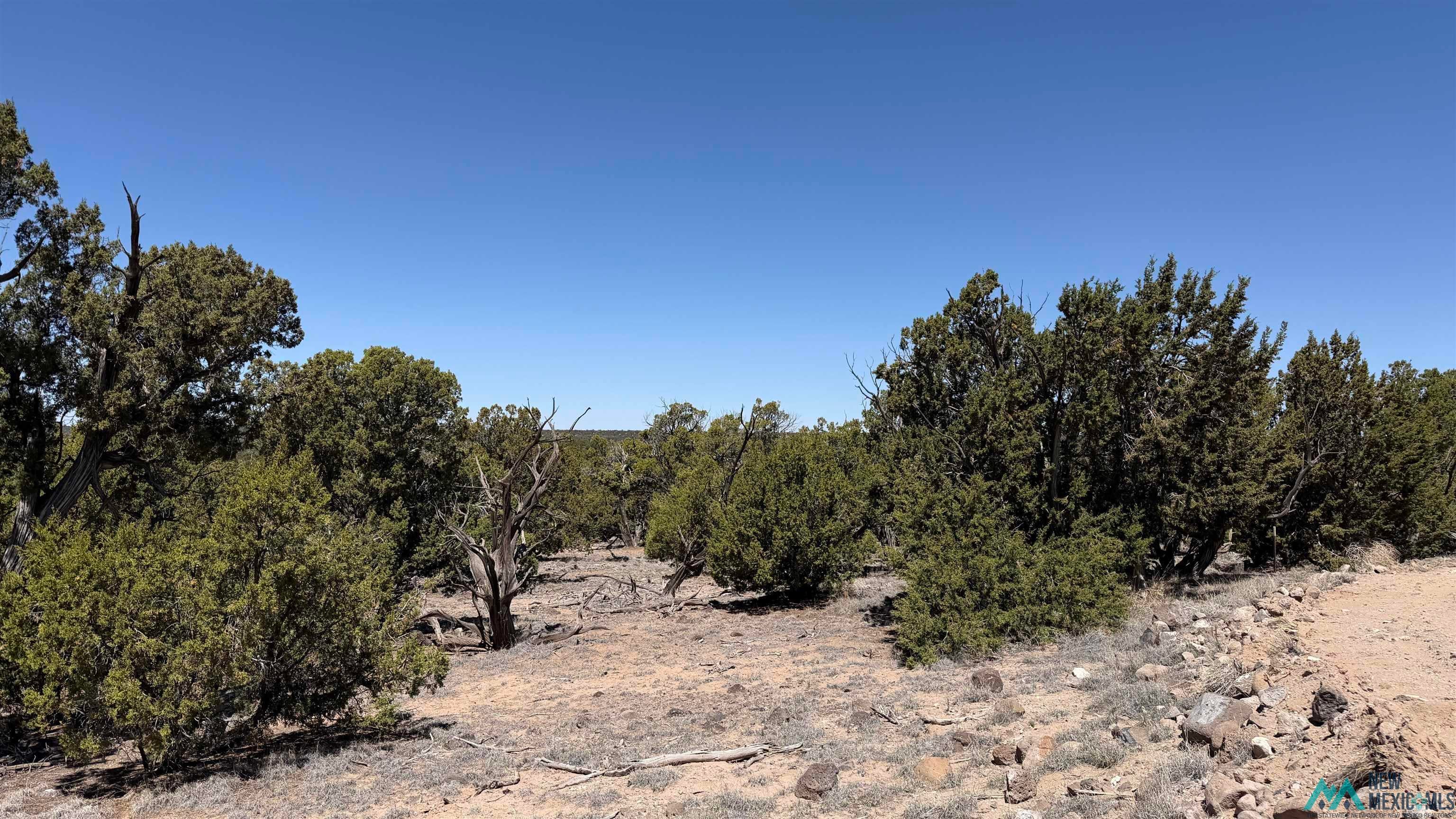 Tbd Tbd Pima Road Quemado, NM 87829 - Photo 2 of 11