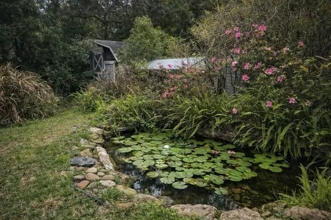 a picture of flowers