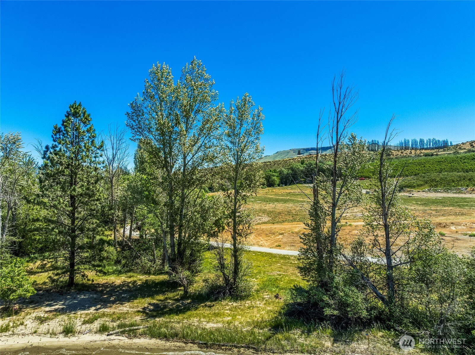 0 Lot 5 Silvest Road Orondo, WA 98843 - Photo 7 of 17 a view of a lake from a yard