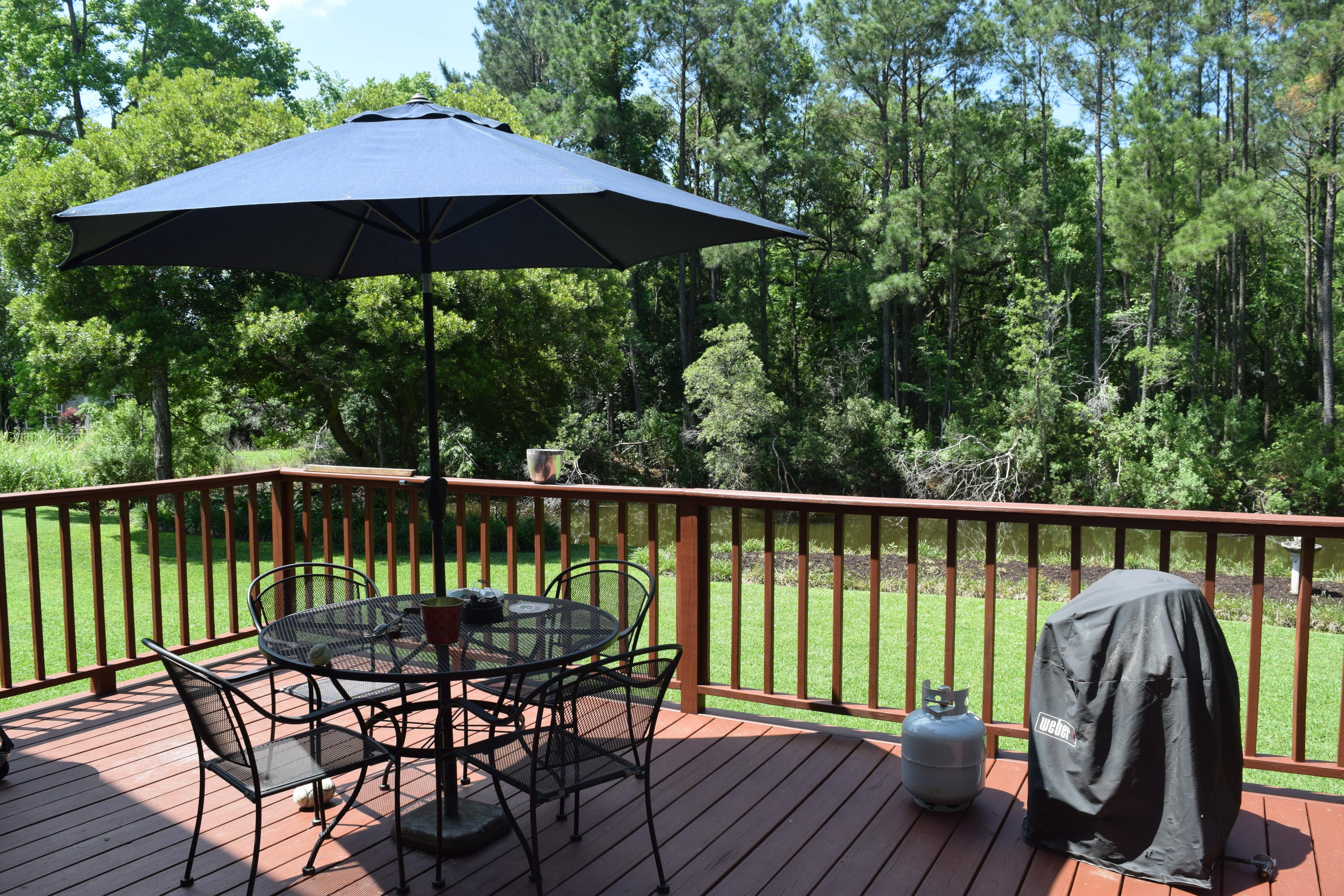 758 Lookout Point Mount Pleasant, SC 29464 - Photo 23 of 25 DSC_0028