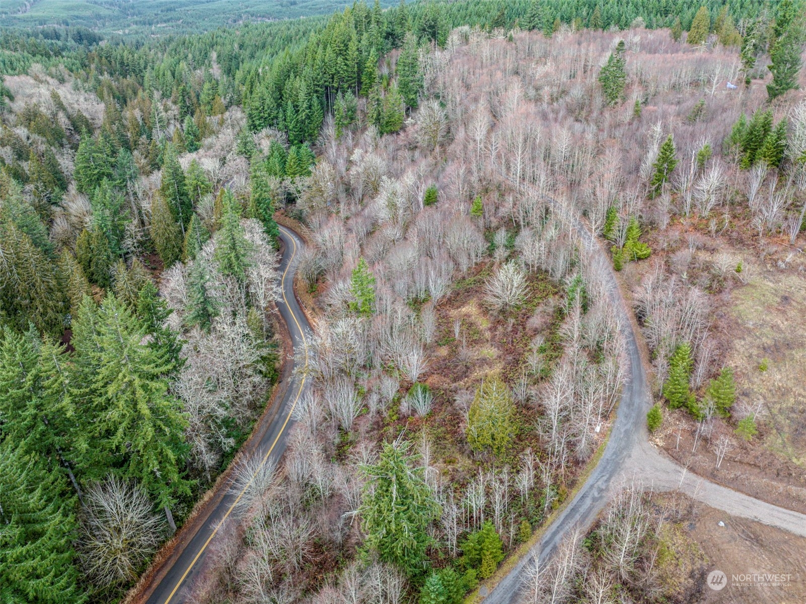 227 Dunbar Road Kelso, WA 98626 - Photo 12 of 28 Gallery Image 12