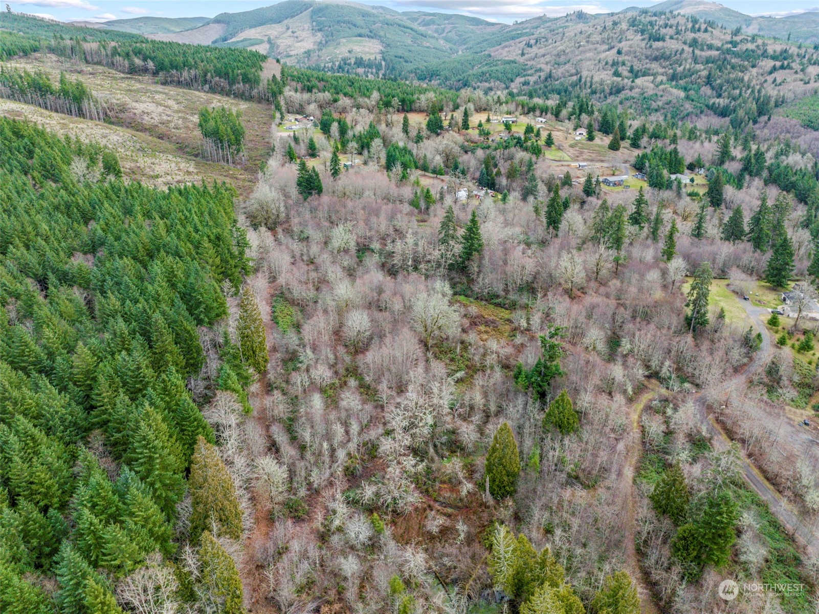 227 Dunbar Road Kelso, WA 98626 - Photo 14 of 28 Gallery Image 14