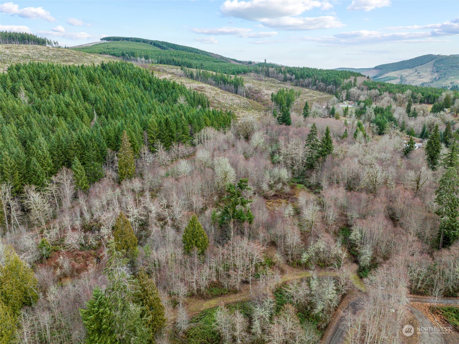227 Dunbar Road Kelso, WA 98626 - Photo 15 of 28 Gallery Image 15