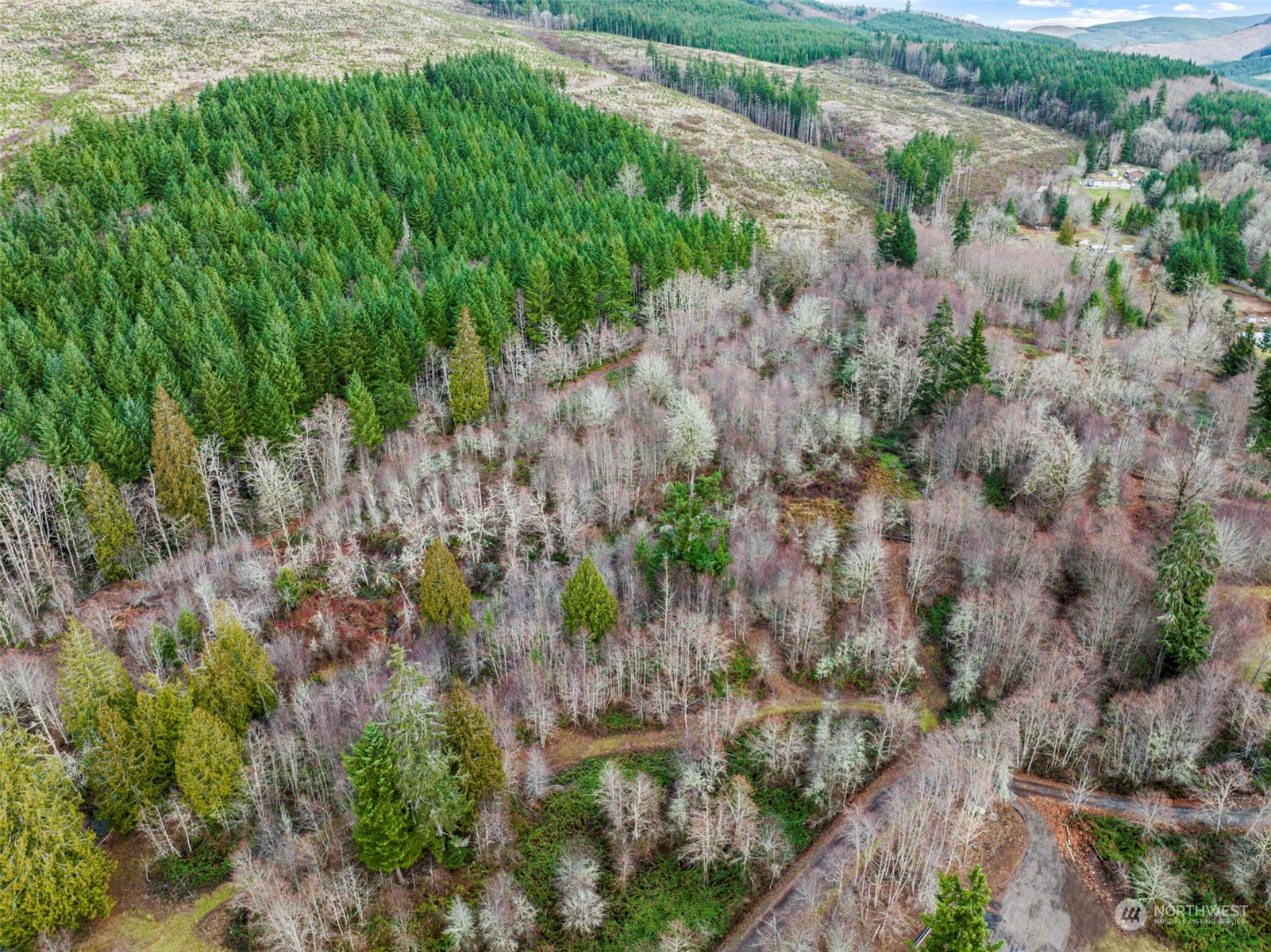 227 Dunbar Road Kelso, WA 98626 - Photo 16 of 28 Gallery Image 16