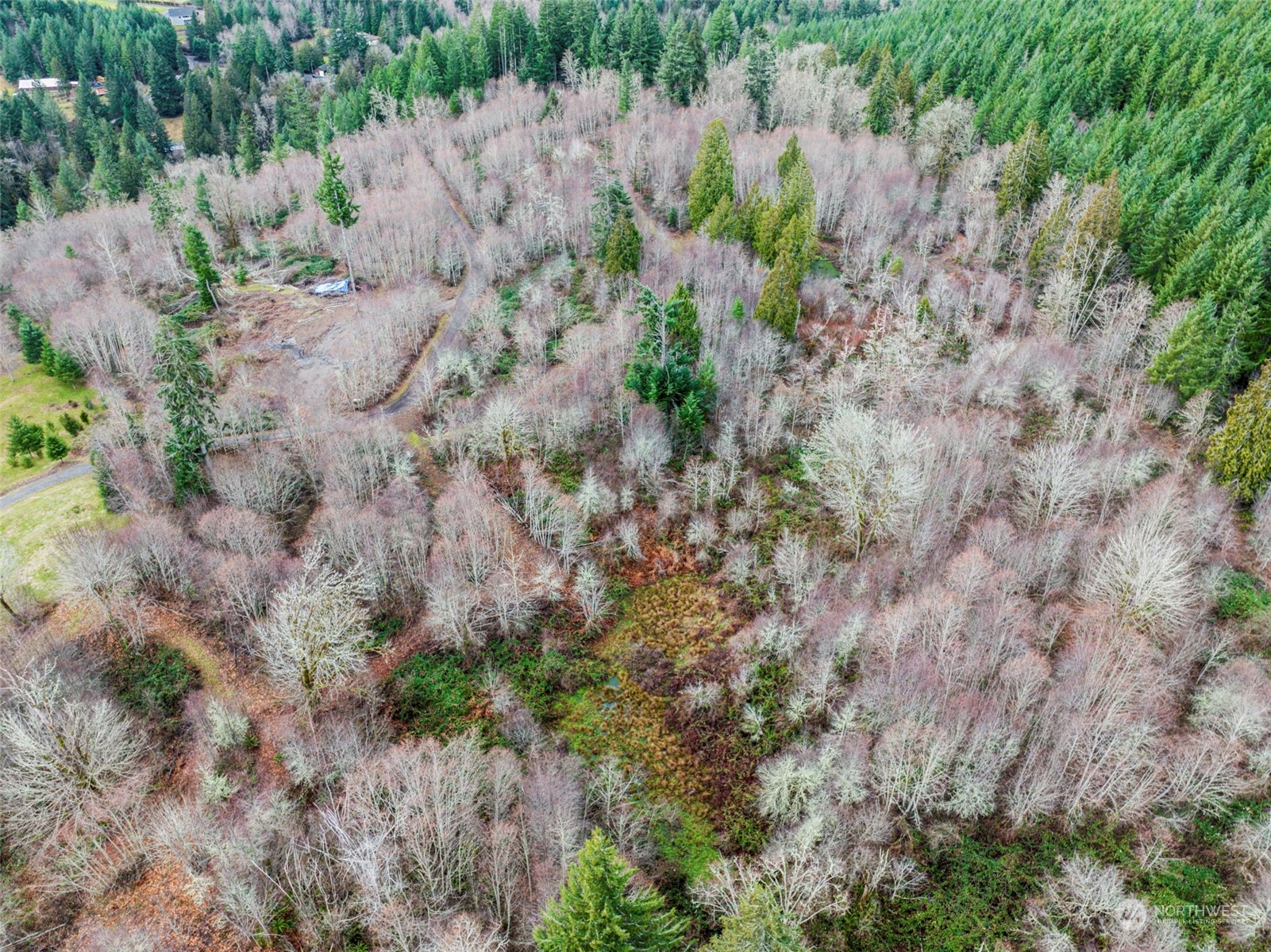 227 Dunbar Road Kelso, WA 98626 - Photo 17 of 28 Gallery Image 17