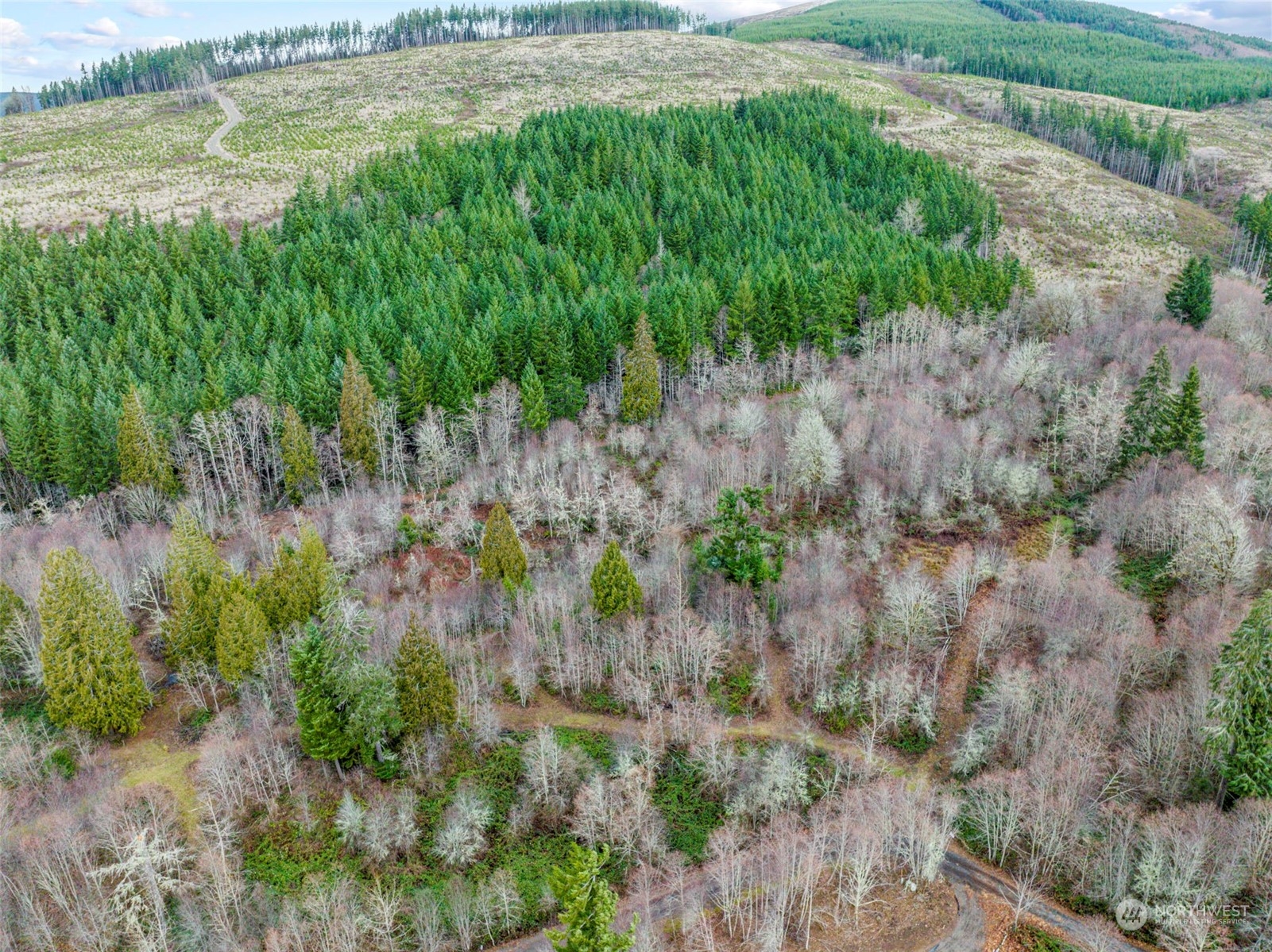 227 Dunbar Road Kelso, WA 98626 - Photo 19 of 28 Gallery Image 19