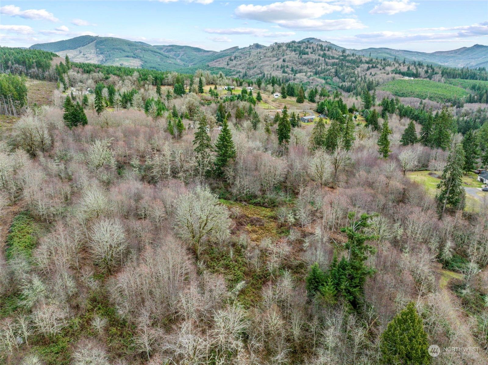 227 Dunbar Road Kelso, WA 98626 - Photo 20 of 28 Gallery Image 20