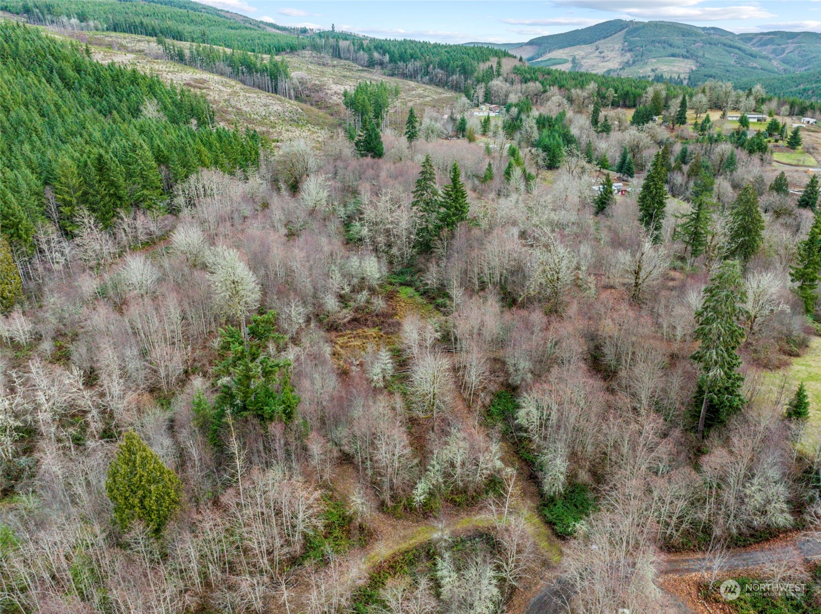 227 Dunbar Road Kelso, WA 98626 - Photo 26 of 28 Gallery Image 26