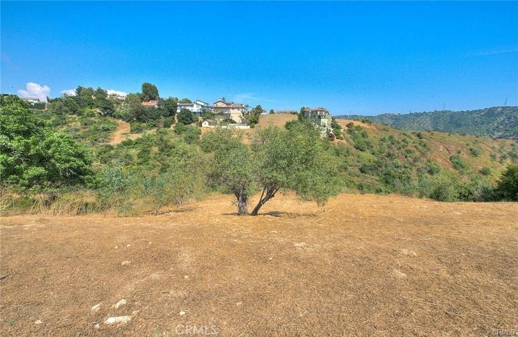 2690 Indian Creek Road Diamond Bar, CA 91765 - Photo 12 of 17 a view of a yard with a tree