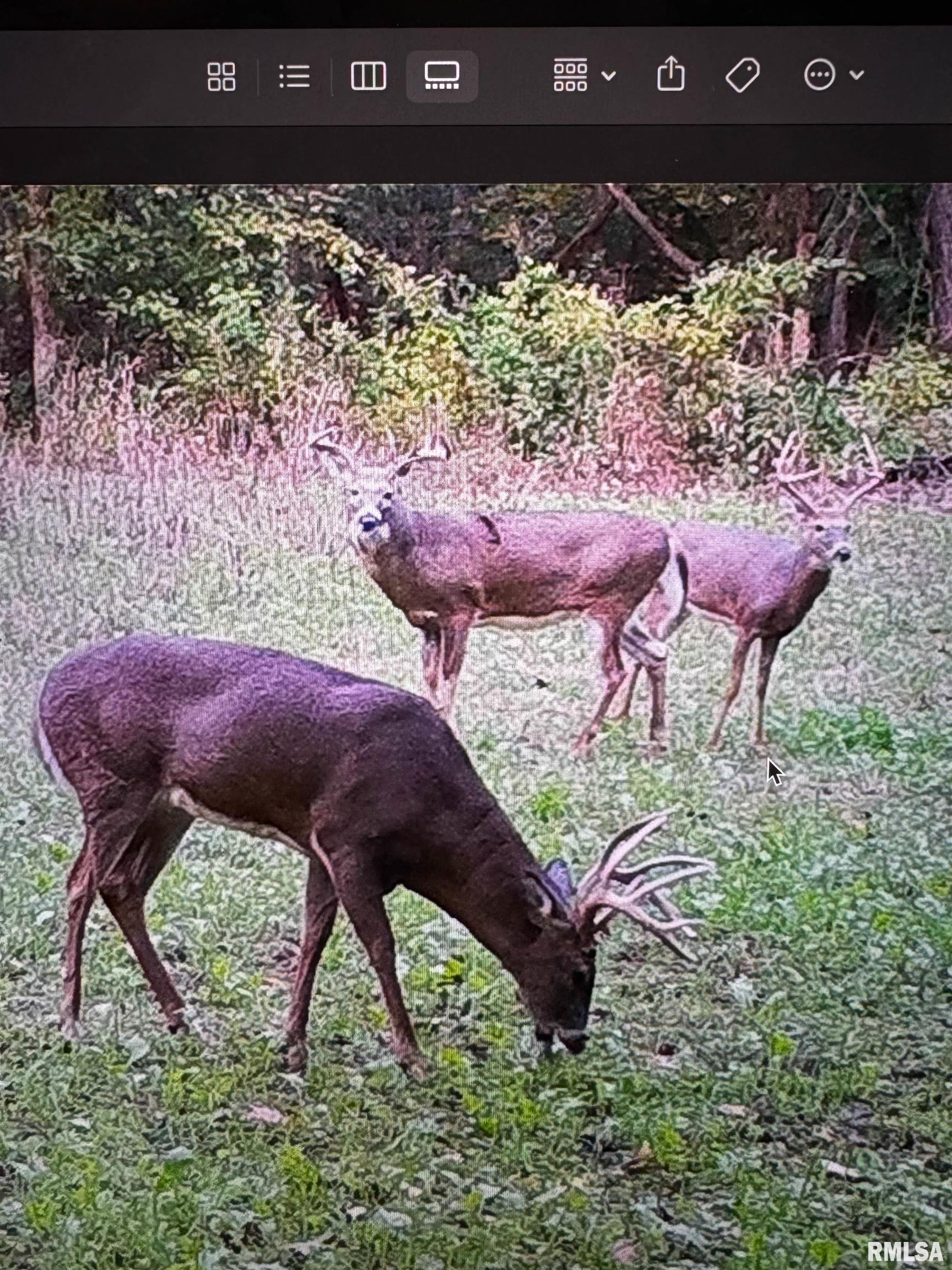Rr Christian Neck Road Rushville, IL 62681 - Photo 9 of 11