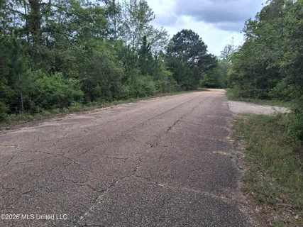 $7,000 | 0 Ab Ladner Drive, Lumberton, MS 39455